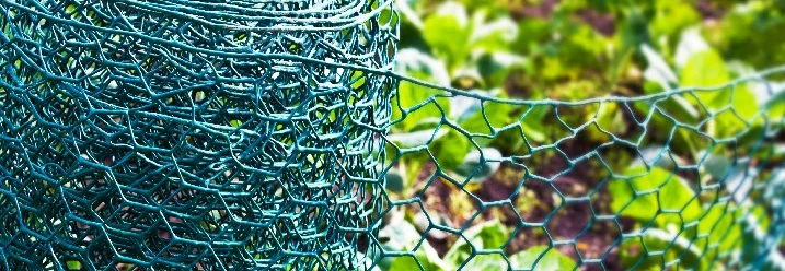 Grüne Maschendrahtrolle